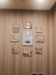 -Cocodemer女性健康·产后恢复(天一广场店)