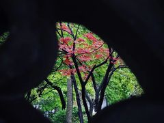 -拙政园