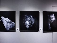 -大连美术馆