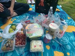 -吴淞炮台湾湿地森林公园烧烤区