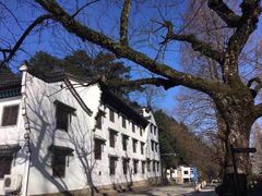 -九华山友谊土菜馆 小资餐厅