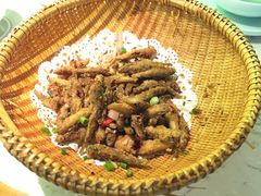 -大榕树下顺德菜(融创茂店)