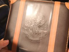 -哈利波特魔法世界