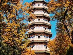 -灵谷景区