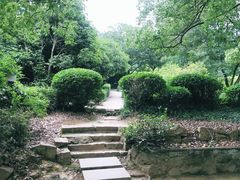 -白马涧龙池景区