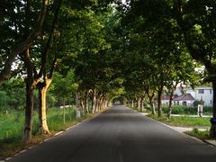 -上海根宝足球基地售票处