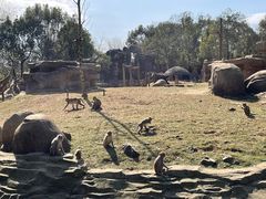 -杭州野生动物世界