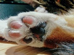 -猫的天空之城概念书店(杭州南宋御街店)