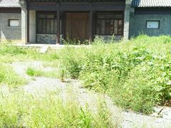 -清风小镇闯关东影视基地