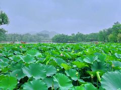 -承德避暑山庄景区