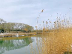 -大兴滨河森林公园