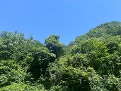 -抱龙峪