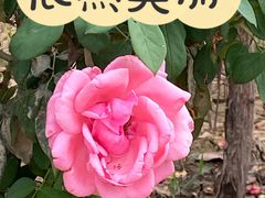 -阜外华中心血管病医院