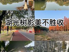 -艾溪湖湿地公园