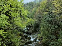 -龙苍沟森林公园