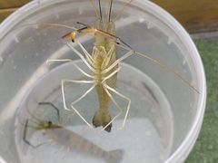 -DGE季风钓虾营地·团建·聚会