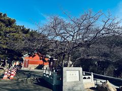 -潭柘寺景区