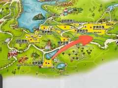 -深圳仙湖植物园