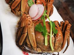 -呼吸森林·生态农庄农家乐私房菜