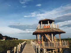 -北海金海湾红树林生态旅游区