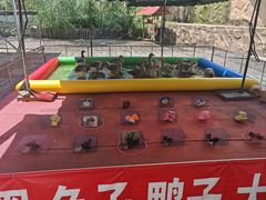 -白洋淀景区