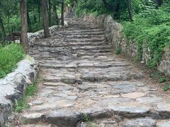 -阳台山自然风景区