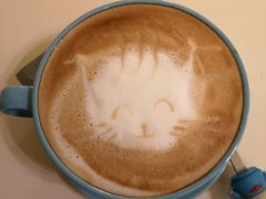 -猫色咖啡·猫咖