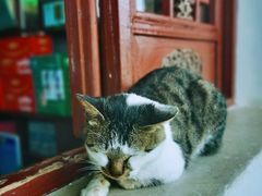 -严子陵钓台(富春江小三峡)