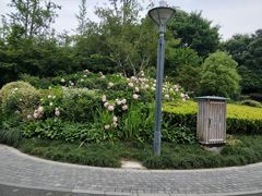 -杭州城北体育公园