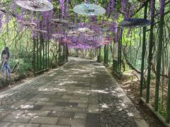 -苏州太湖国家湿地公园
