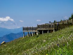 -白草畔自然风景区