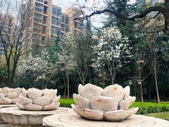 -木塔寺遗址生态公园