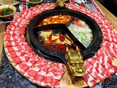 奔驰锅底-蜀大侠火锅(森兰花园城店)
