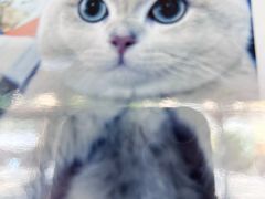 -宠颐生宠物医院外科·内科·皮肤科·影像科(石龙店)