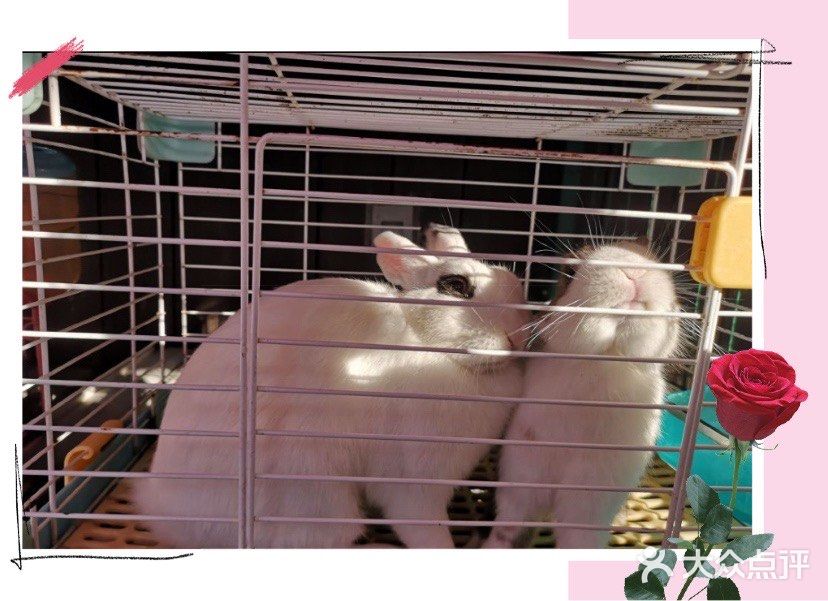 来天空农场可好？☁️