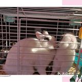 来天空农场可好？☁️