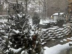 -北京丽晶酒店