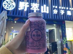 -野萃山·潮汕厚果汁(十亩地店)
