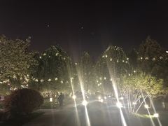 -大雁塔北广场音乐喷泉