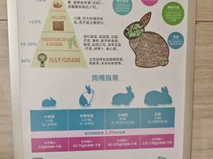 -北京观赏动物医院·24小时大型综合·猫专科·异宠专科