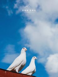 -格乐利雅婚礼艺术中心(南外滩店)