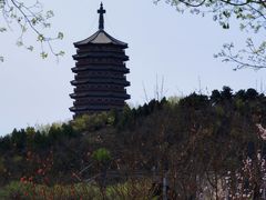 -永定河休闲森林公园