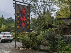 -青城甲(青城山店)