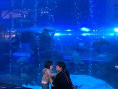 -成都浩海立方海洋公园