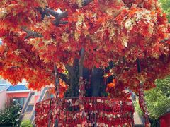 -芜湖方特东方神画