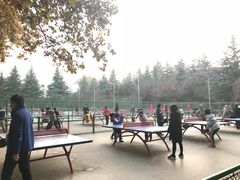 -陕西师范大学(雁塔校区)