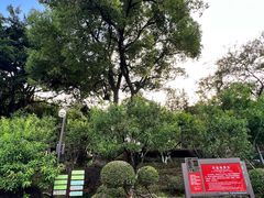 -乌山风景区
