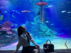 -沈阳海洋探索中心