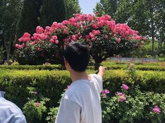 -郑州植物园