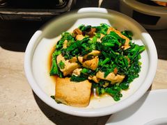 -佬肥猫(七宝宝龙店)